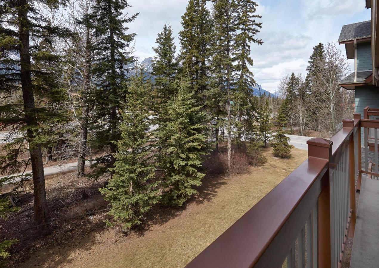 Newly Renovated Grizzly Lodge, Spacious 3Br 2Ba With Open Pool, Hot Tub แคนมอร์ ภายนอก รูปภาพ